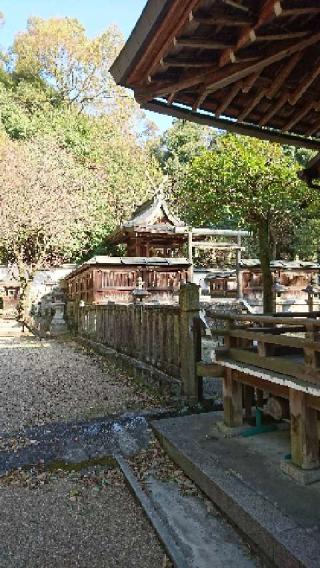 伊射奈岐神社(天理)の参拝記録(きるひあいすさん)