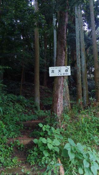 阿紀神社の参拝記録(天地悠久さん)