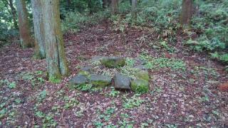 阿紀神社の参拝記録(天地悠久さん)