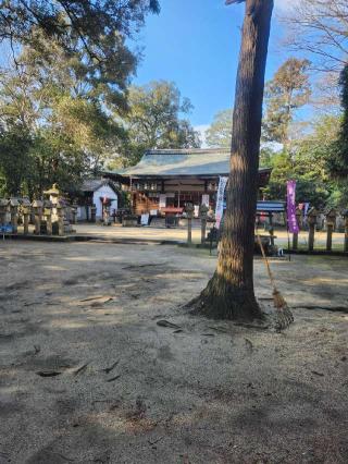 村屋坐弥冨都比売神社の参拝記録(みっちゃんさん)