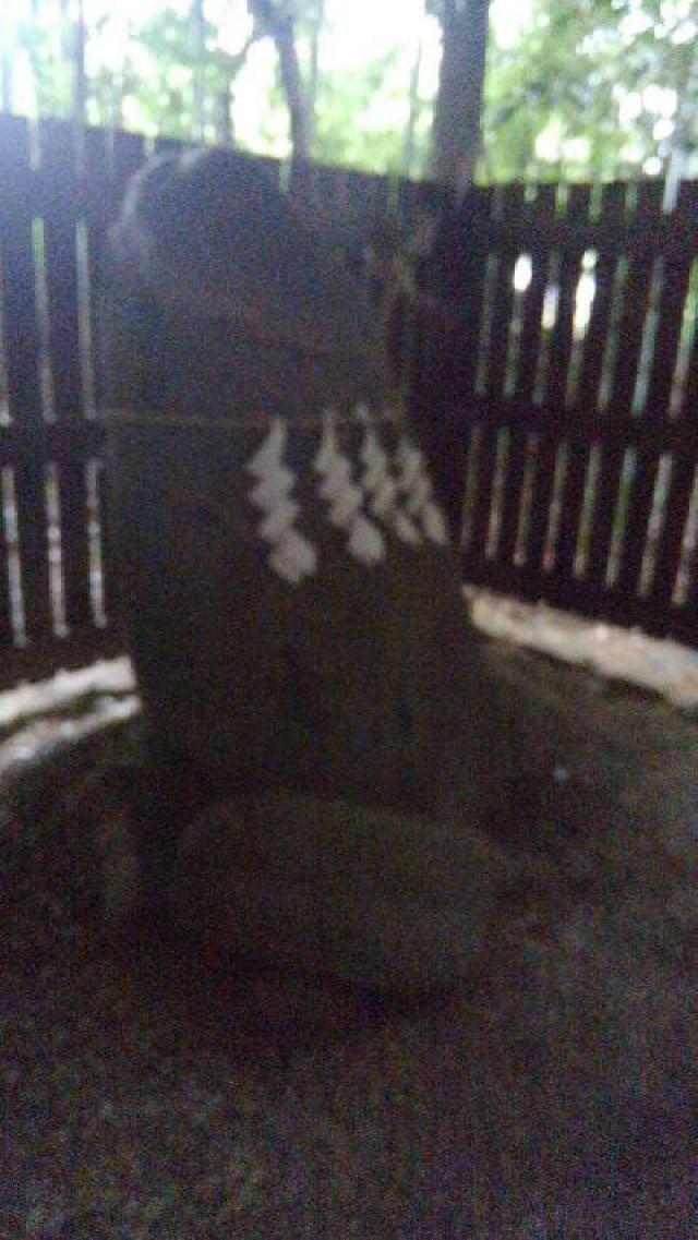 奈良県高市郡明日香村飛鳥708 飛鳥坐神社の写真3