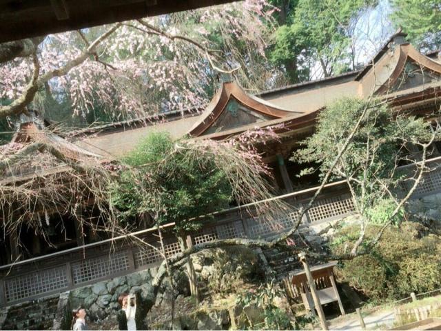 奈良県吉野郡吉野町吉野山１６１３ 吉野水分神社の写真1