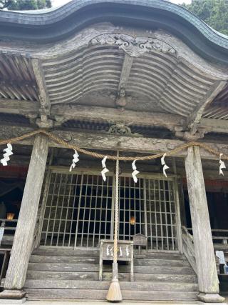 玉置神社の参拝記録(⛩️🐍🐢まめ🐢🐍⛩️さん)