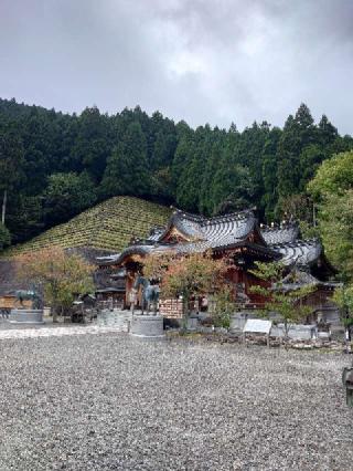 丹生川上神社(上社)の参拝記録(おざりんさん)