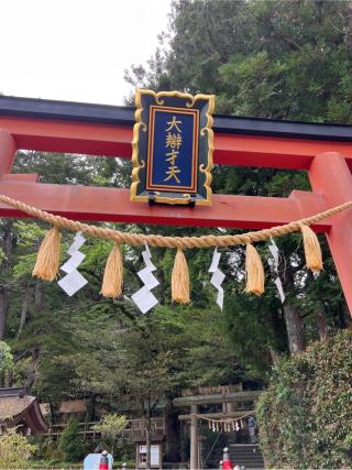 大峯本宮　天河大瓣財天社の参拝記録(⛩️🐍🐢まめ🐢🐍⛩️さん)