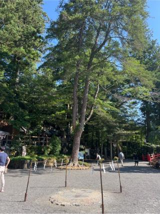 大峯本宮　天河大瓣財天社の参拝記録(⛩️🐍🐢まめ🐢🐍⛩️さん)