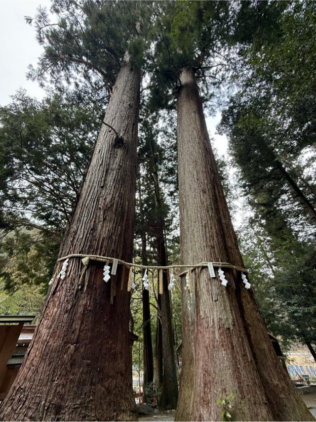 奈良県吉野郡東吉野村大字小968 丹生川上神社 中社の写真6