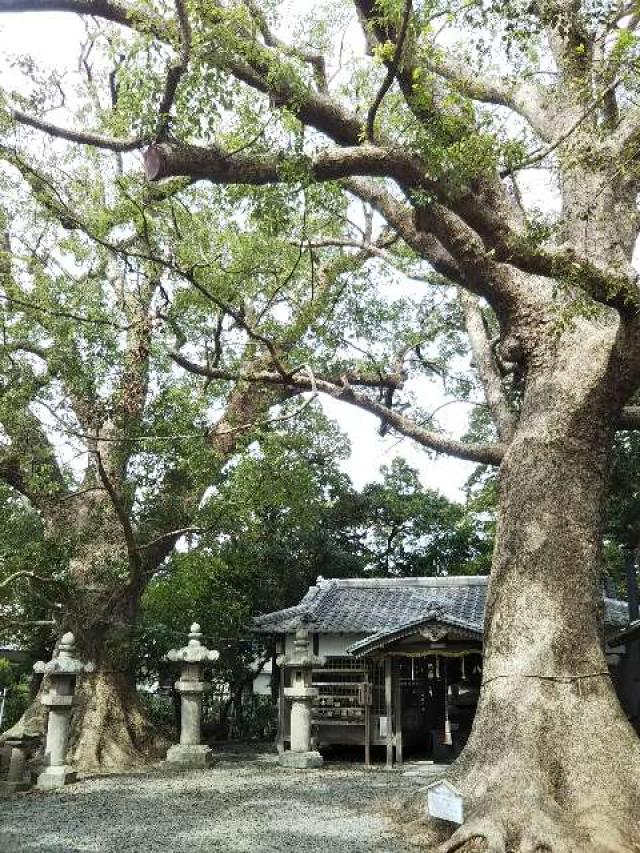 和歌山県和歌山市市小路330番地 伊久比売神社の写真2