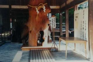 伊太祁曽神社(紀伊一宮)の参拝記録(Mu.(全国一ノ宮神社巡拝中)さん)