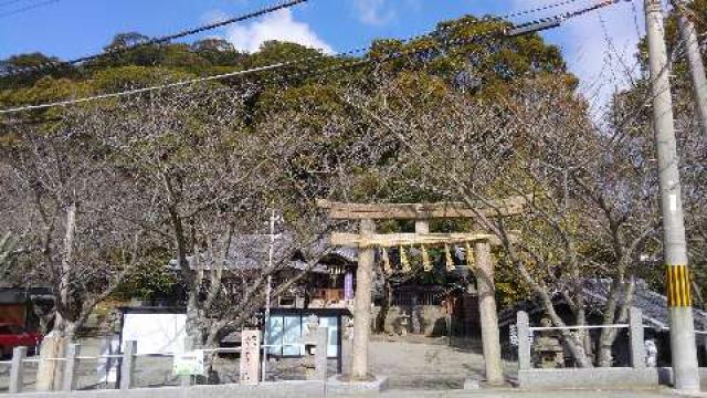和歌山県和歌山市梅原403 大年神社の写真2