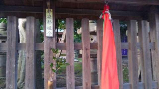 和歌山県和歌山市宇田森59番地 大屋都姫神社の写真3