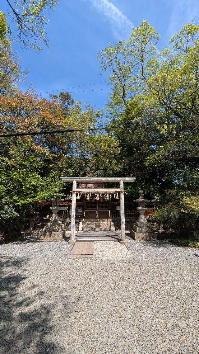 大屋都姫神社の参拝記録2