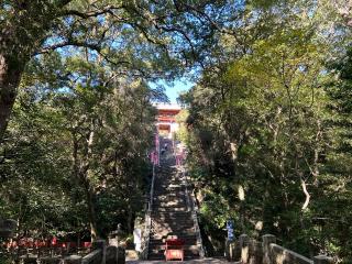 紀州東照宮の参拝記録(ハシバさん)