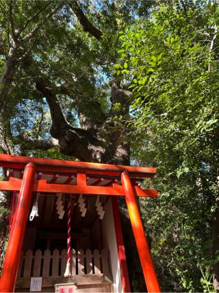 紀州東照宮の参拝記録(ハシバさん)