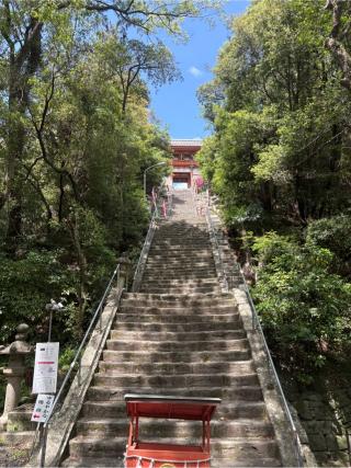 紀州東照宮の参拝記録(placerisierさん)
