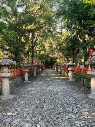 紀州東照宮の参拝記録(てつやさん)