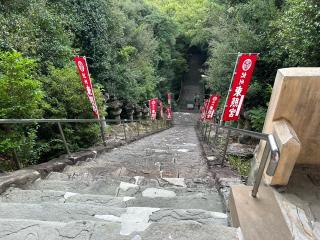 紀州東照宮の参拝記録(たいがさん)