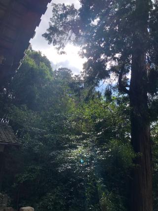 伊勢部柿本神社の参拝記録(KUMIKOさん)