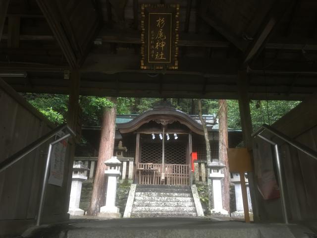 杉尾神社の参拝記録(吉さん)