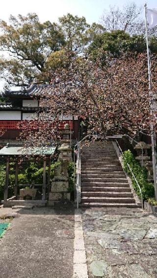 蛭子神社の参拝記録(やしろさん)
