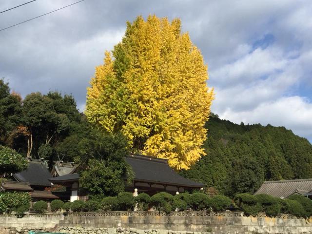 和歌山県海草郡紀美野町長谷宮238番地 長谷丹生神社の写真2