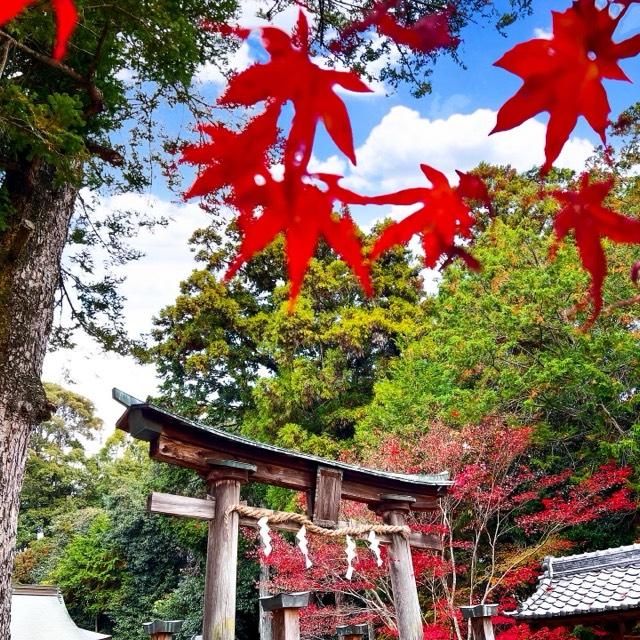 海神社の参拝記録6