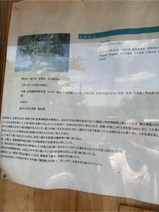 志野神社の参拝記録(てるりんさん)