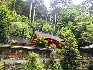 鞆淵八幡神社の参拝記録(じゃすてぃさん)