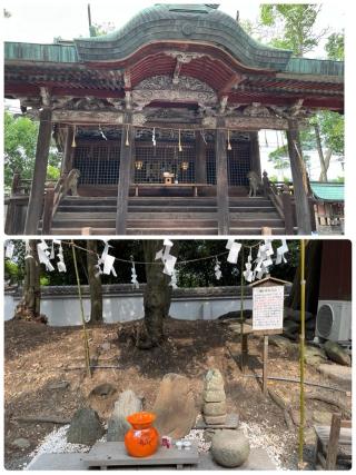 日吉神社の参拝記録(まきちゃんさん)