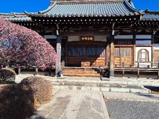 瑞岩寺の参拝記録(かつちゃん2さん)