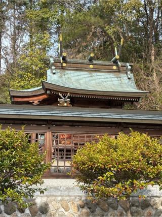 八幡神社（名倉）の参拝記録(満次さん)