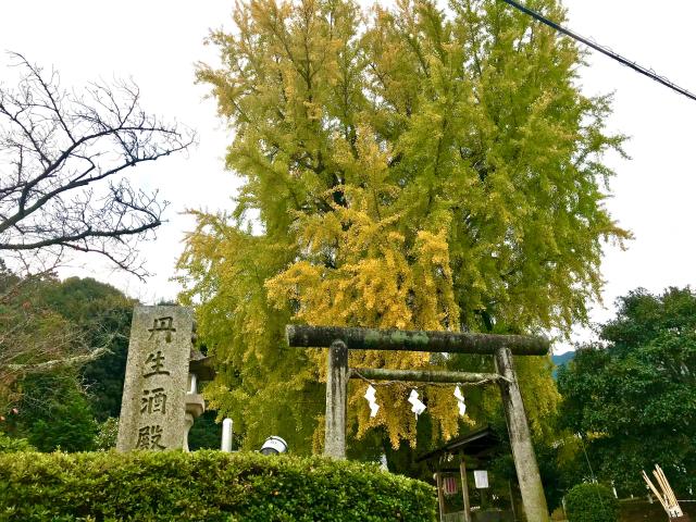 丹生酒殿神社の参拝記録(じゃすてぃさん)