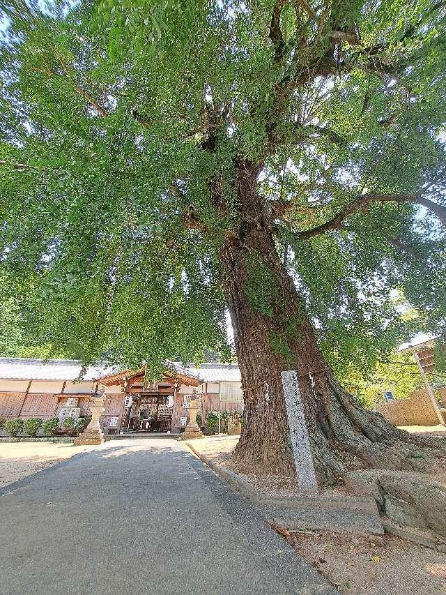 丹生酒殿神社の参拝記録10