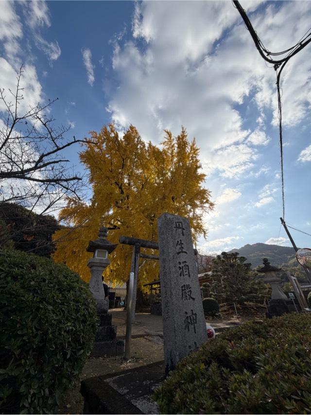 丹生酒殿神社の参拝記録8