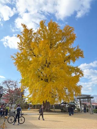 丹生酒殿神社の参拝記録(きょうたろうさん)