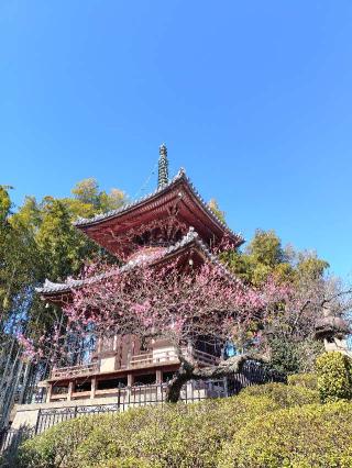 狭山山 不動寺（狭山不動尊）の参拝記録(zx14rさん)