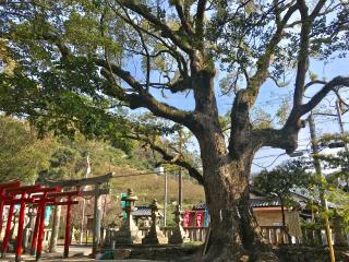 糸我稲荷神社の参拝記録(じゃすてぃさん)