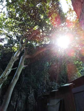 立神社の参拝記録(未来龍さん)