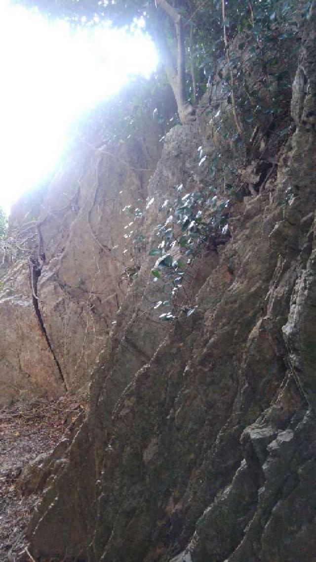 和歌山県有田市野700番地 立神社の写真3