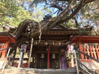 白岩丹生神社の参拝記録(じゃすてぃさん)