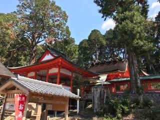 廣八幡神社の参拝記録(じゃすてぃさん)