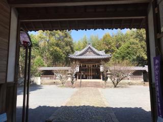 藤竝神社の参拝記録(じゃすてぃさん)