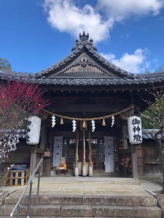 藤竝神社の参拝記録(mmかずやmmさん)