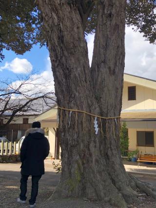 藤竝神社の参拝記録(KUMIKOさん)