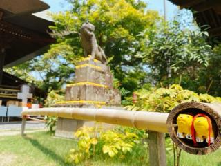 宝塔山吉祥寺多聞院の参拝記録(気ままな御朱印記録さん)