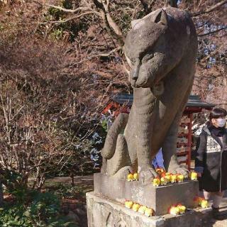 宝塔山吉祥寺多聞院の参拝記録(マックスさん)