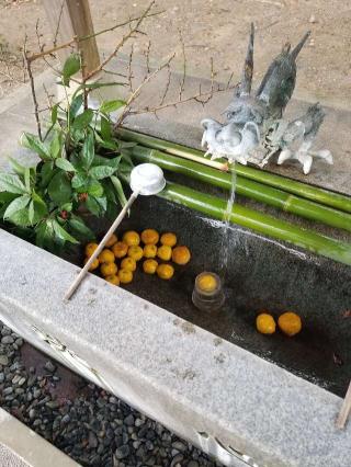 鹿島神社の参拝記録(そらしじみさん)