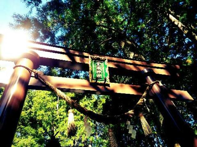 皆瀬神社の参拝記録1