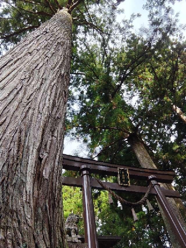 皆瀬神社の参拝記録4