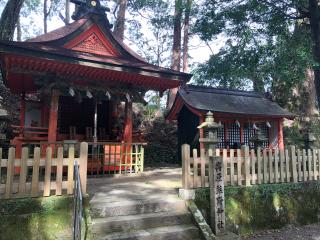 熊野神社（高原）の参拝記録(KUMIKOさん)